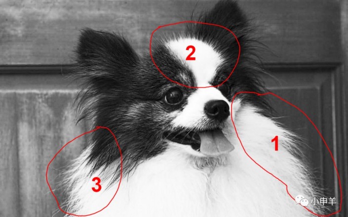 Photoshopʹͨߓɐ۵Ĺ