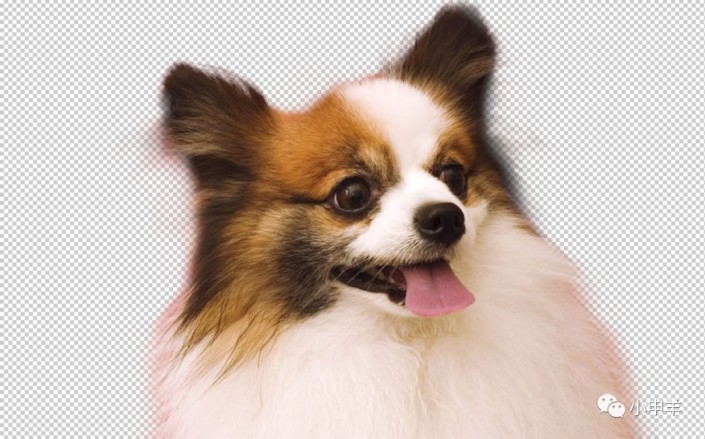 Photoshopʹͨߓɐ(i)Ĺ