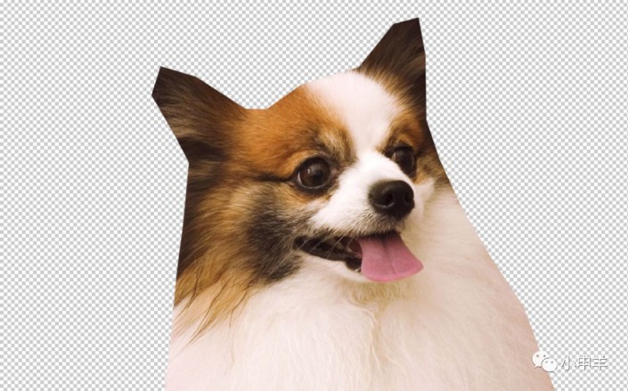 Photoshopʹͨߓɐ۵Ĺ