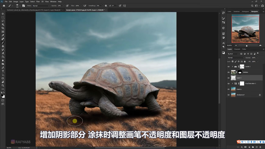 PhotoshopϳɄ(chung)ĞǱЧD