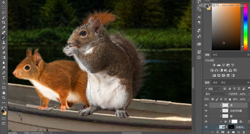 PhotoshopϳɭRµС