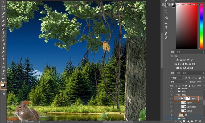 PhotoshopϳɭRµС
