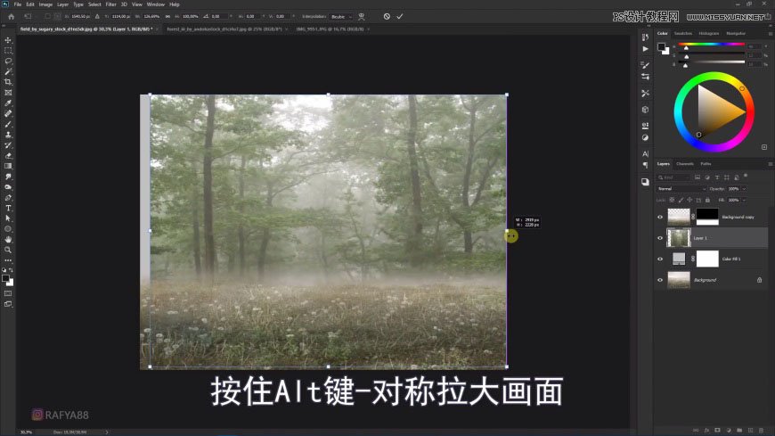 Photoshop(chung)ϳɭеB\