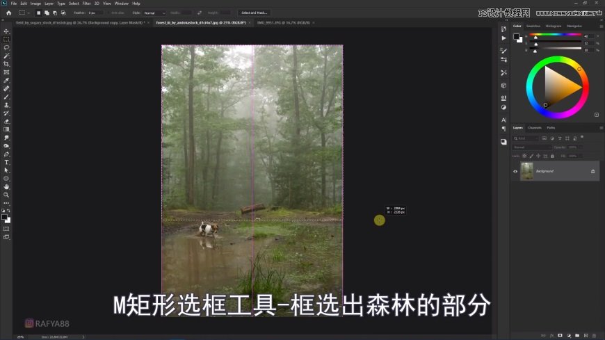 Photoshop(chung)ϳɭеB\