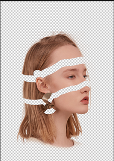 Photoshopϳɏ^LĻ