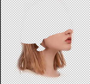 Photoshopϳɏ^LĻ