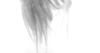 PhotoshopٵēhݵLlŮ