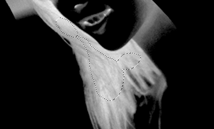 PhotoshopٵēhݵL(zhng)l(f)Ů