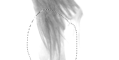 PhotoshopٵēhݵLlŮ