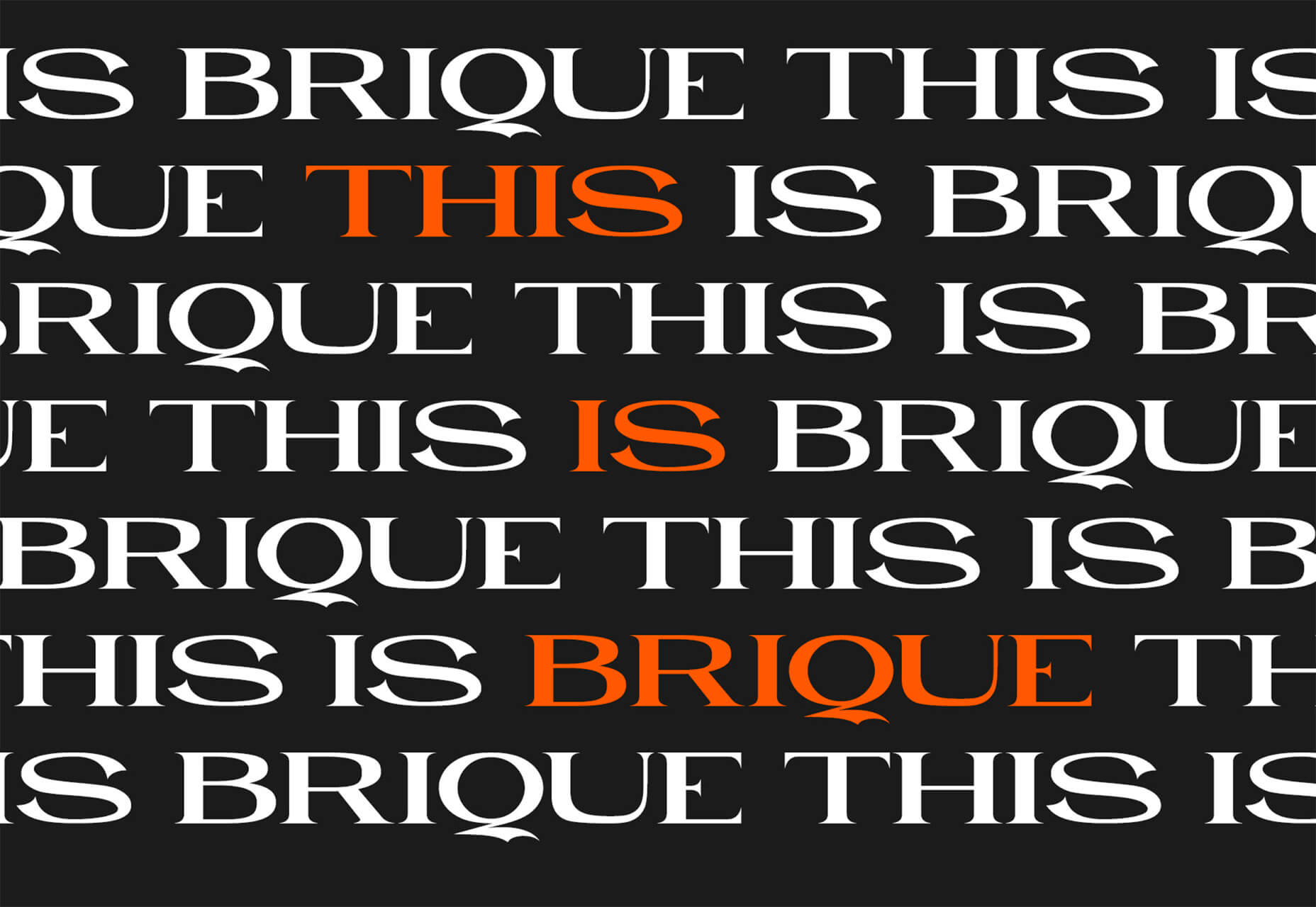 20214OӋȦ؛ϼ