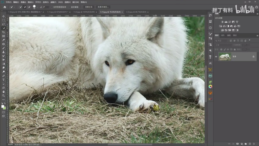 Photoshop通過摳圖實(shí)例盤點(diǎn)實(shí)用的摳圖方法