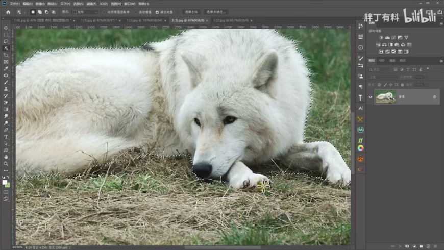 Photoshop通過摳圖實(shí)例盤點(diǎn)實(shí)用的摳圖方法