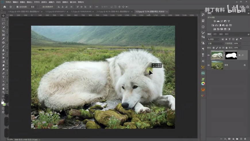 Photoshop通過摳圖實(shí)例盤點(diǎn)實(shí)用的摳圖方法