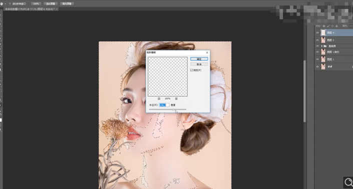 PhotoshopoФھ̎