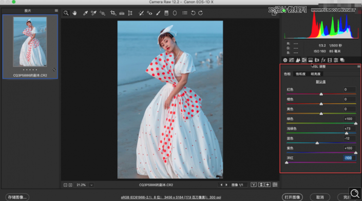 Photoshop{߅ŮƬ{ɫˇgЧ