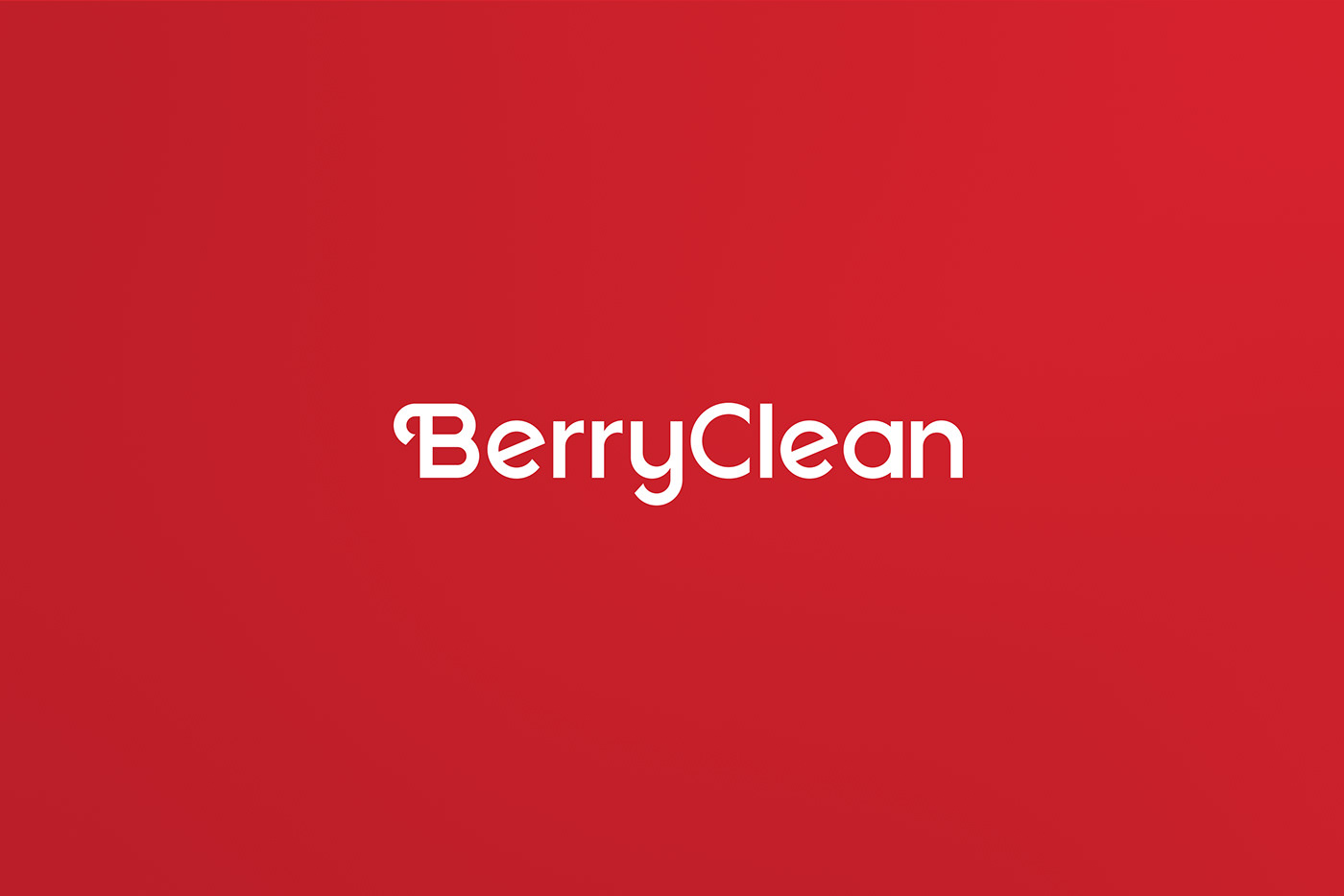 BerryCleanbOӋp