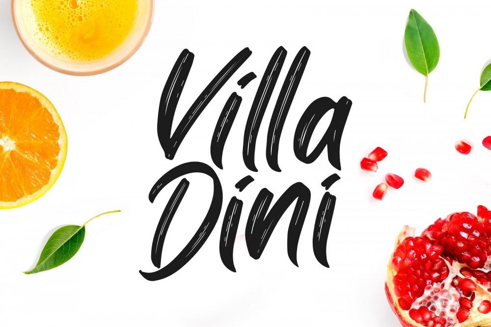 Villa Dini֭bO(sh)Ӌ(j)p